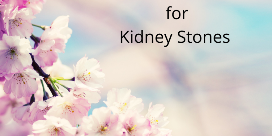 Homeopathy for Kidney Stones