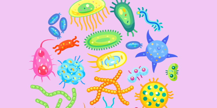 Microbiome