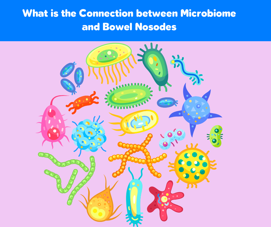 The Immunomodulatory Properties of the Microbiome and Bowel Nosodes: Exploring the Connection